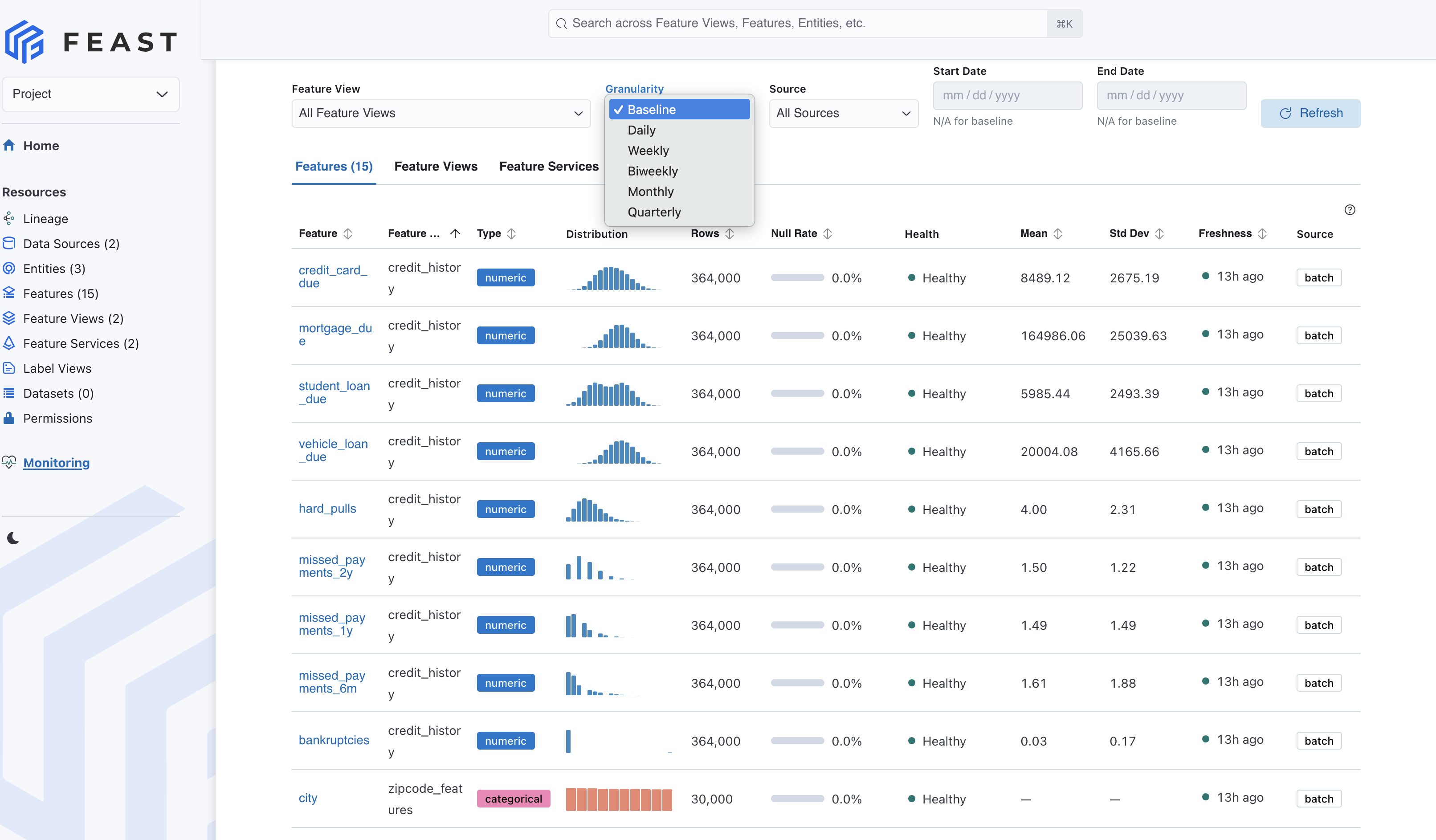 Feast DQM Monitoring dashboard showing feature metrics, filters, histograms, and health status