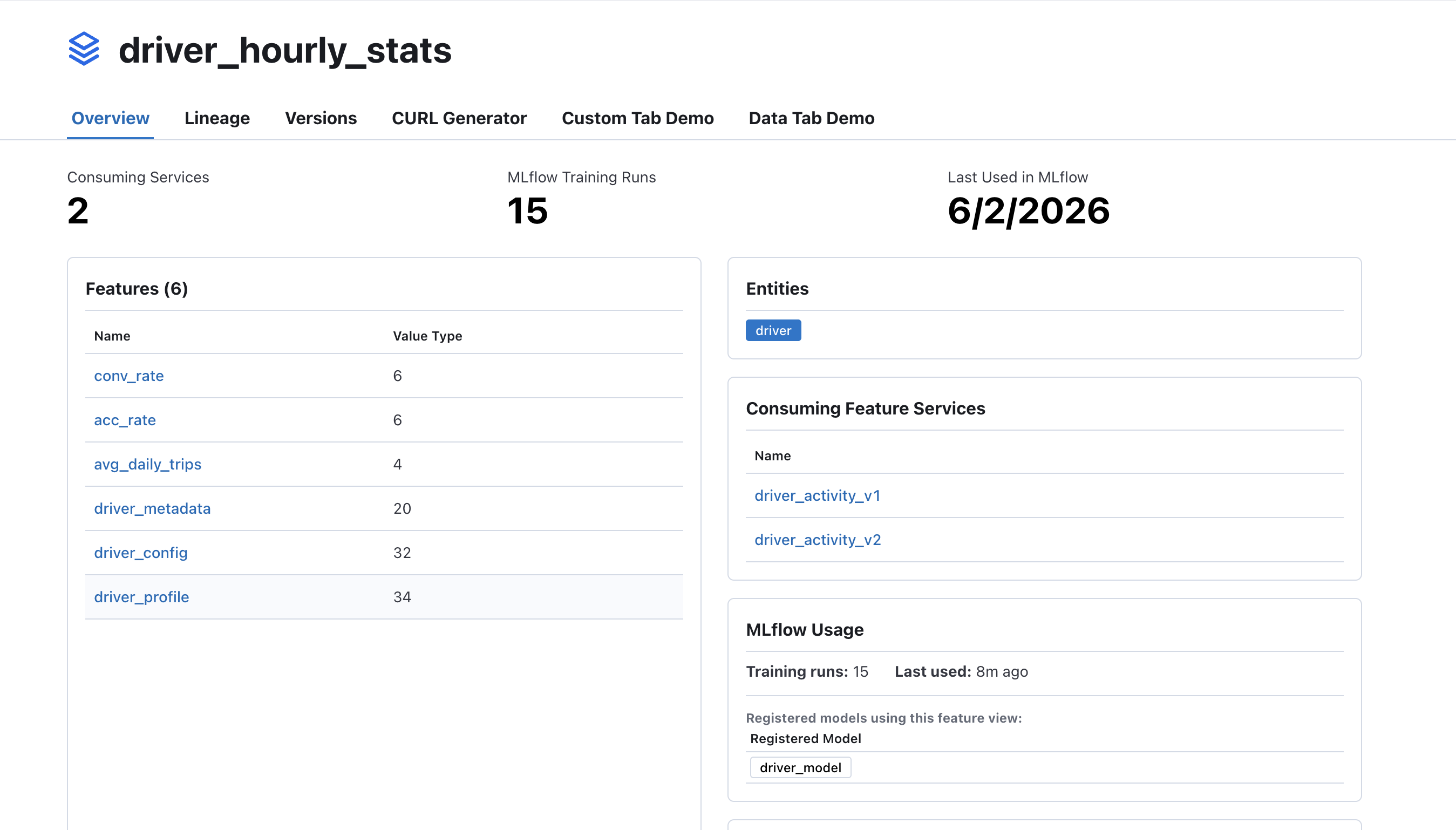 Feast UI Feature View detail with MLflow usage